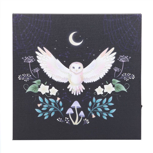 Something Different Night Owl Light Up Canvas Carousel 1