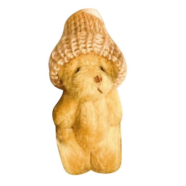 A little Golden-Brown Pocket Hug Bear in a Box Carousel 2