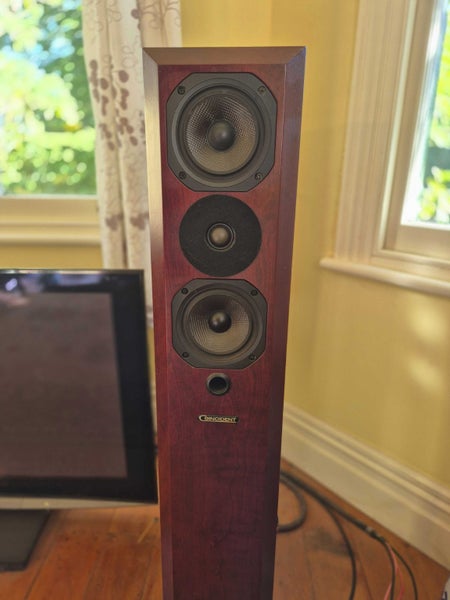 Coincident Technology Super Eclipse 111 Speakers64262244476419111