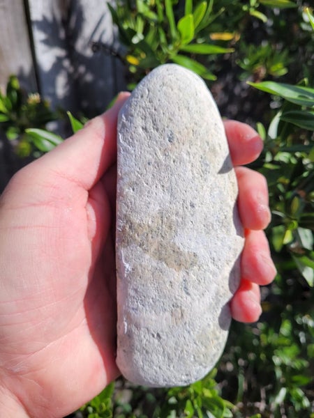 Semi-nephrite 540 grams Nelson Carousel 13