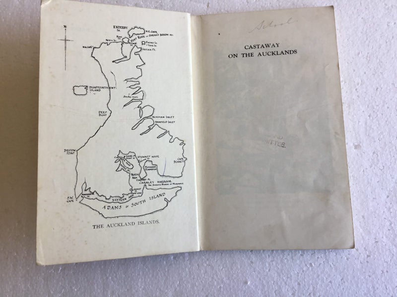 Castaway on the Auckland’s Carousel 2