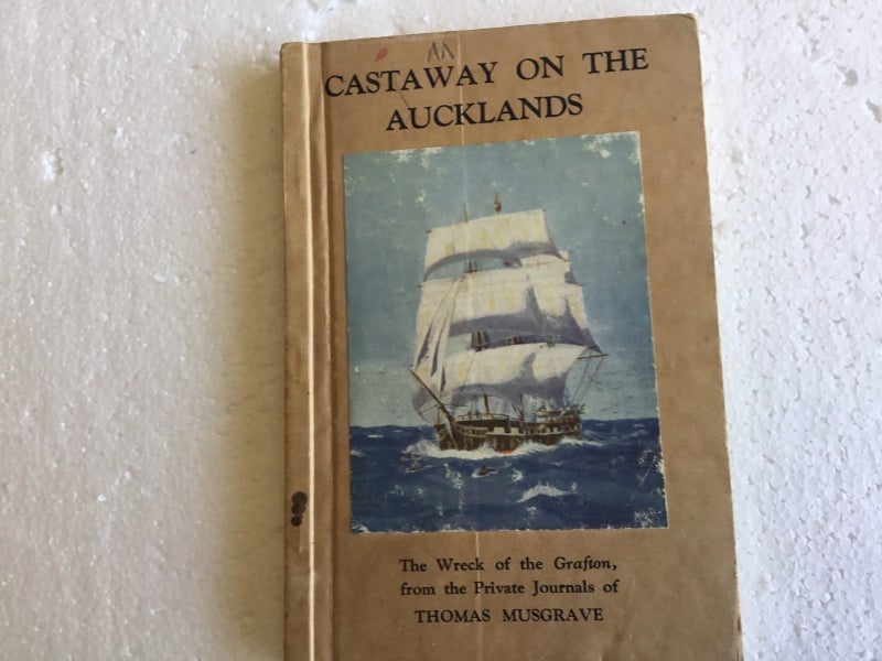 Castaway on the Auckland’s Carousel 1