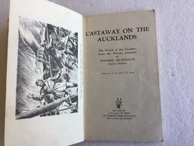 Castaway on the Auckland’s Carousel 3