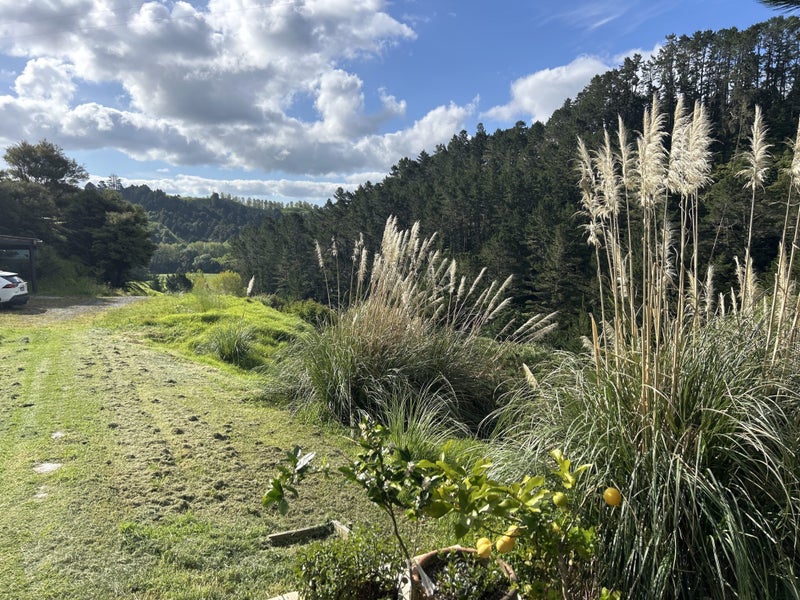 Tiny House on Wheels And Sleepout - Puhoi Carousel 18