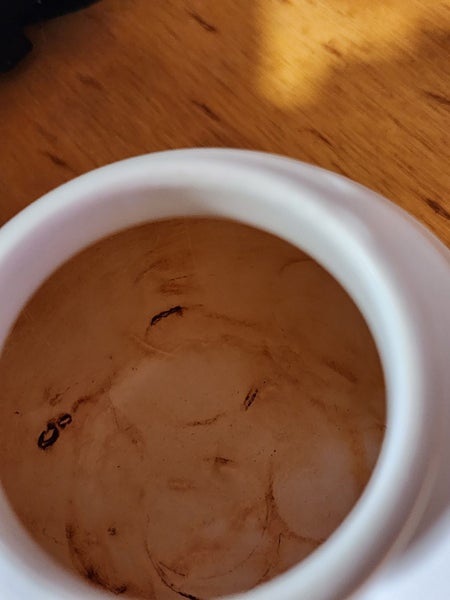 Ernest Shufflebotham 1940's Vase64442726602114112