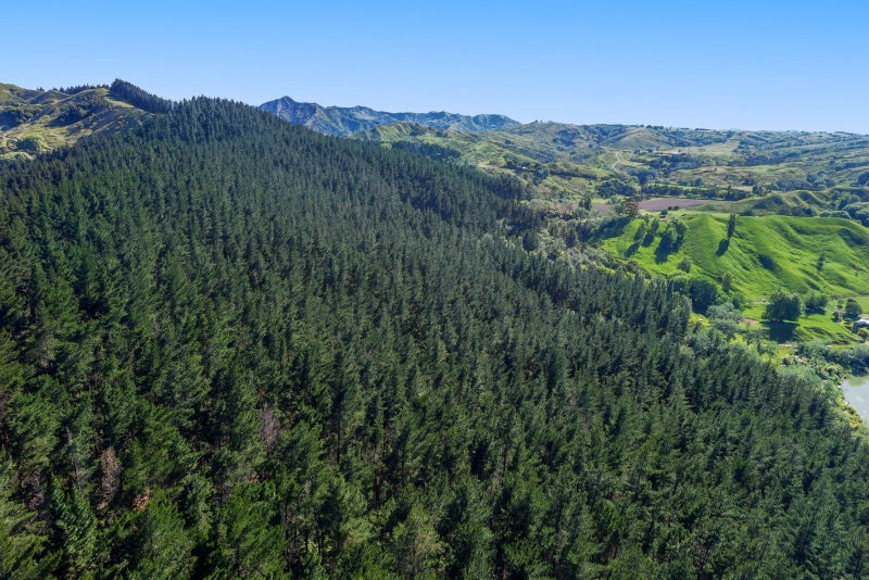 Substantial development and established woodlot64287912971137114