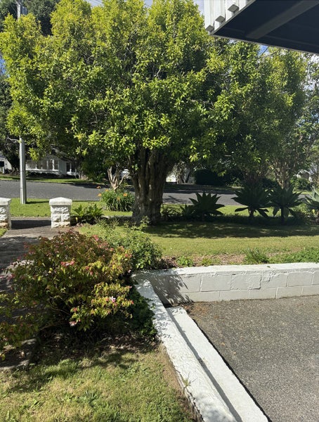 Mount Albert, 2 bedrooms64361230885379113