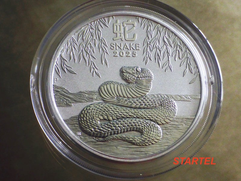 2 Oz Snake silver bullion coin from the Perth Mint Carousel 1