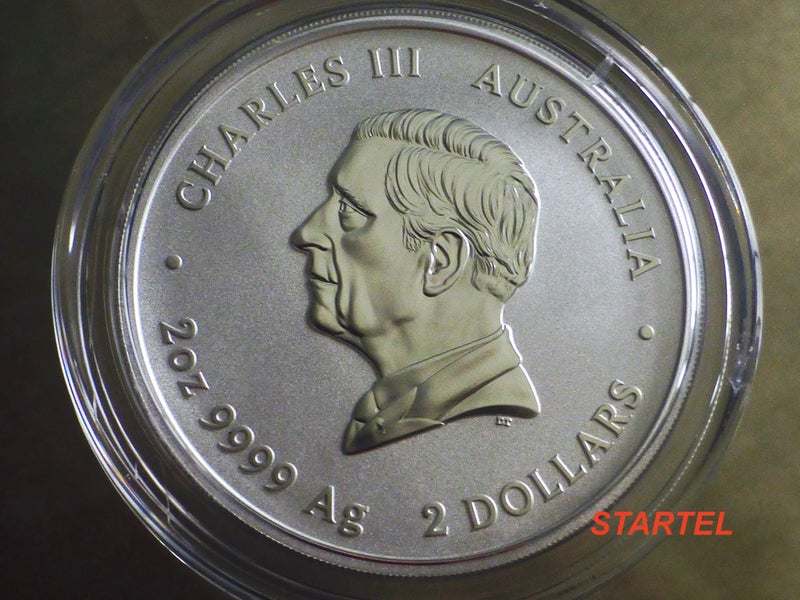 2 Oz Snake silver bullion coin from the Perth Mint Carousel 2