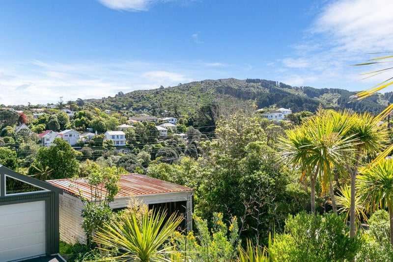 Your very own Zealandia!64292663037569113