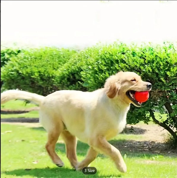 Free city shipping -1 pc Indestructible Rubber Dog Chew Ball - Large #EC104 Carousel 1