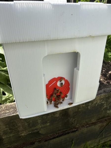 Bee Nuc / Starter Hive64293797286659112