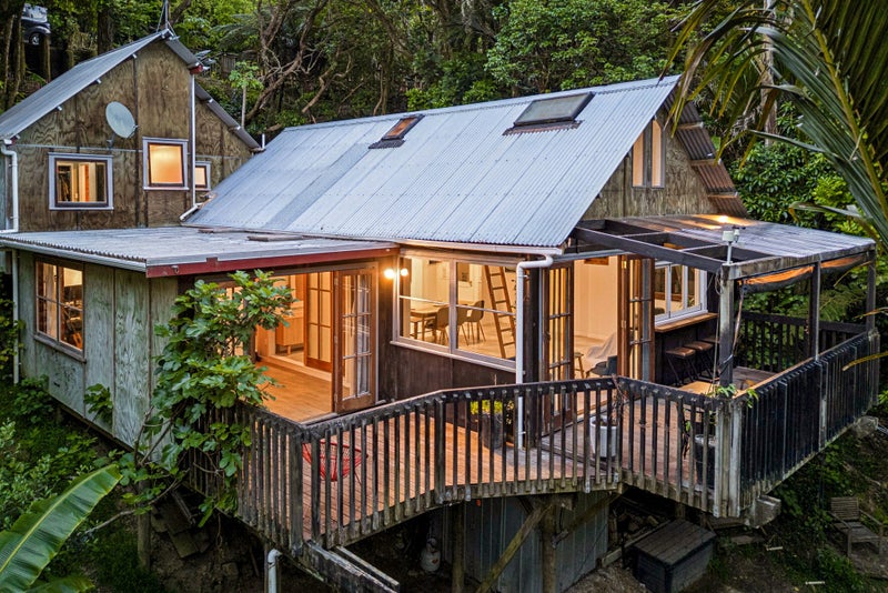 A Hidden World of Wonder in Laingholm64294790237571110