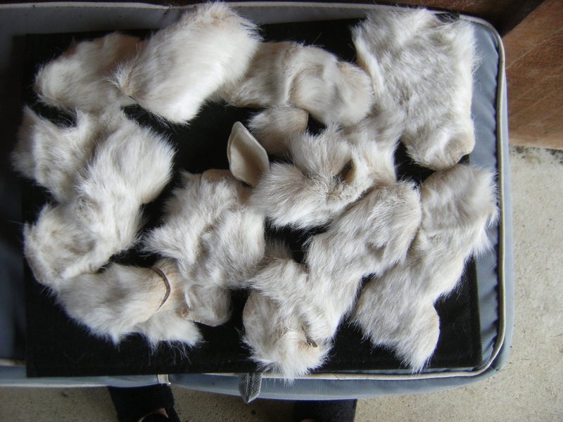 Teddy bear cut out pieces ref TB109 Carousel 2