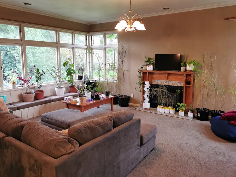 Eureka, 5 bedrooms64295124591489113