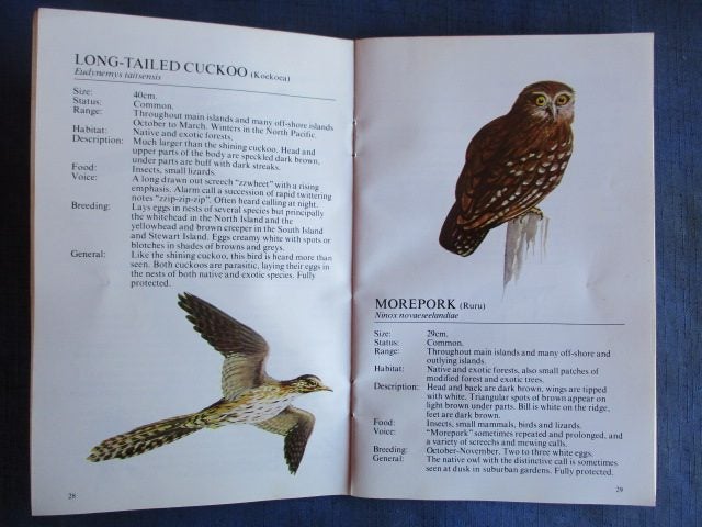 NEW ZEALAND BIRDS - BY MURDOCH RILEY (Girl Guides book) Carousel 2