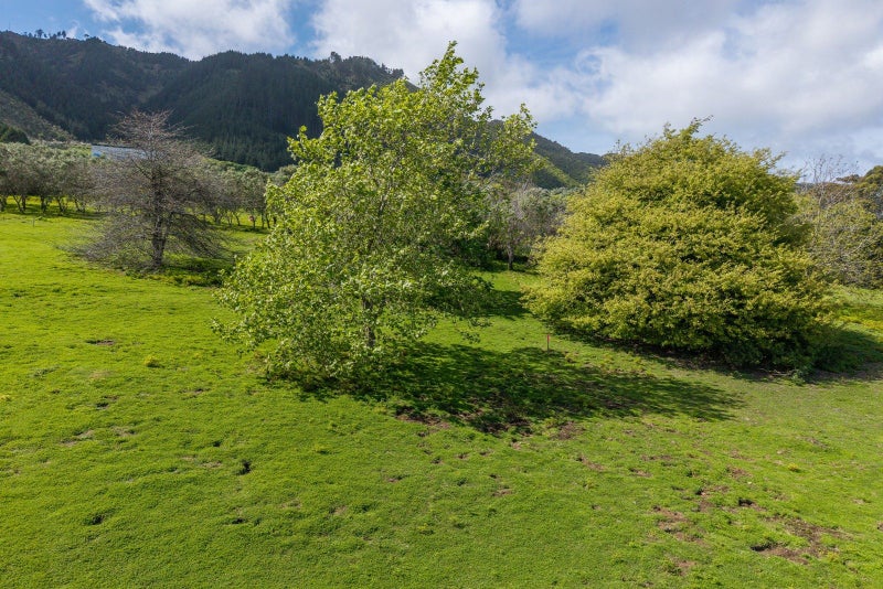 Elevated with Views!64295892340098113