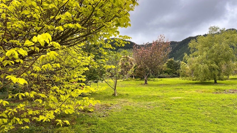 Elevated with Views!64295892340098114