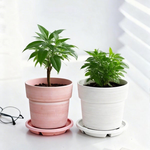 Textured Ceramic Planter ( Only Pot) 15.4cm - Desk & Indoor Use Carousel 1