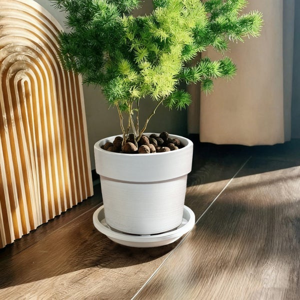Textured Ceramic Planter ( Only Pot) 15.4cm - Desk & Indoor Use Carousel 5