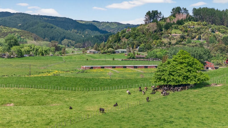 TICKS ALL THE BOXES!64304377928579113