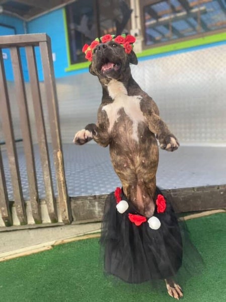 Resilient Ruth Carousel 2