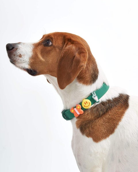 Wild One: Small Flair Charms - Groovy Bundle (5-Pack) Carousel 1