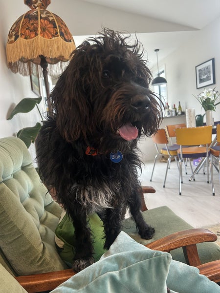 Woolston, 2 bedrooms64297724545794114