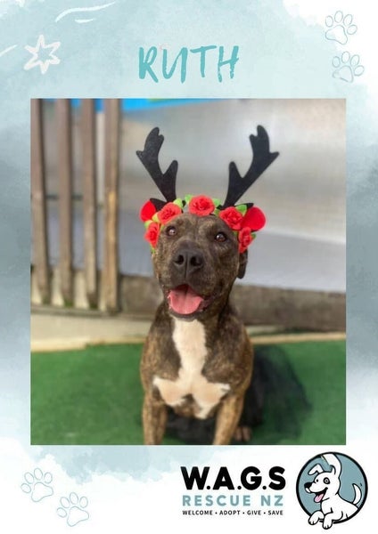 Resilient Ruth Carousel 1