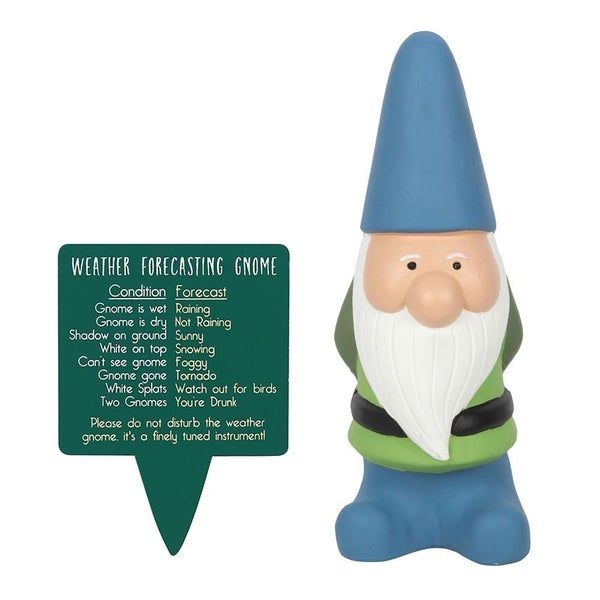 Blue Weather Forecasting Gnome - Large Carousel 1