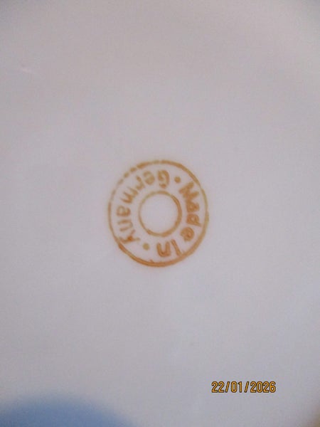 antique West End Kaikoura plate - German Carousel 4