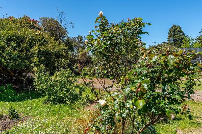 Section Alert What a Fabulous Find64303870814723113