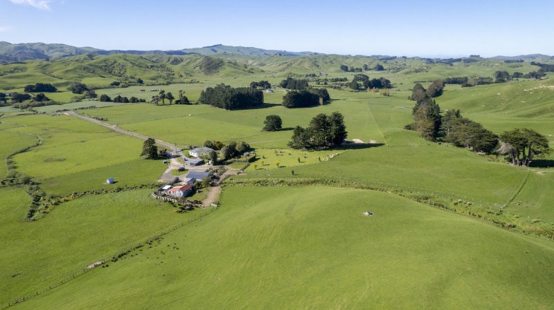 Summer Safe with Purchase Options64305096333057112