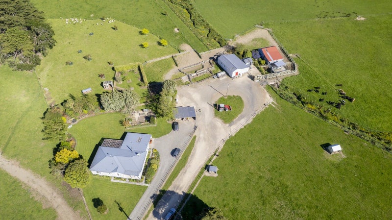 Summer Safe with Purchase Options64305096333057114