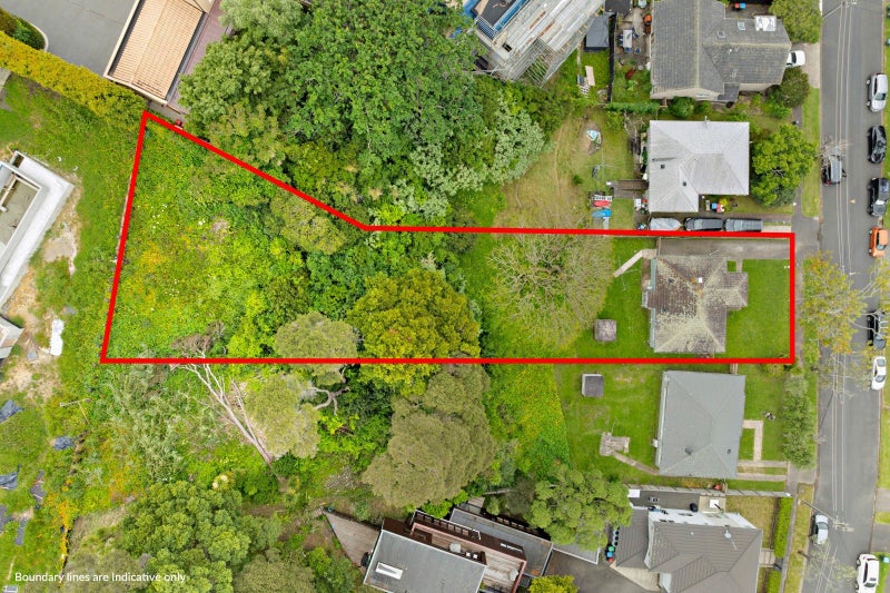 Prestige, position and possibility in DGZ Remuera64314670427266110