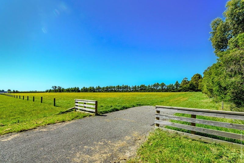 4 Hectares, Endless Possibilities64305195399555113