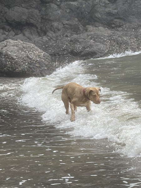 Whisky ?? Carousel 2