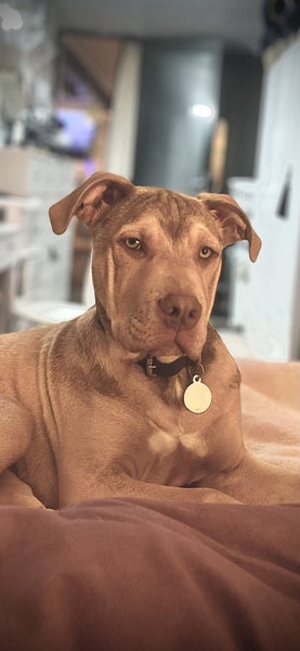 Whisky ?? Carousel 5