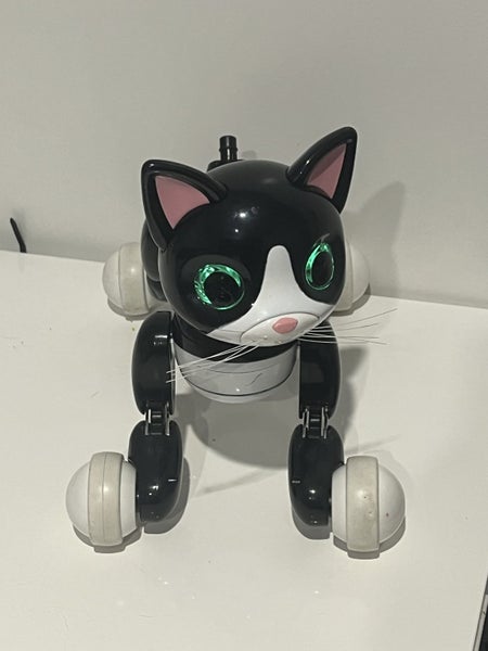 Zoomer Kitty 2015 - Working Carousel 1