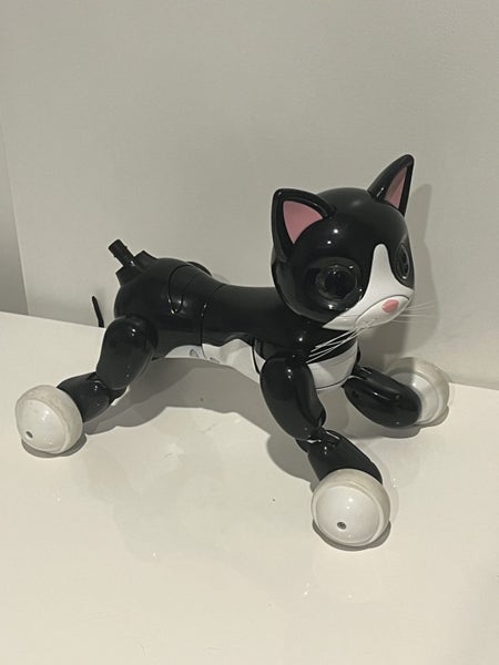 Zoomer Kitty 2015 - Working Carousel 2