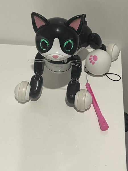 Zoomer Kitty 2015 - Working Carousel 6