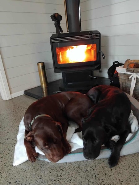 Coco - Chance 4 Change Carousel 14