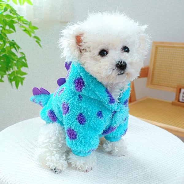 Dinosaur S Pet Coat Carousel 5