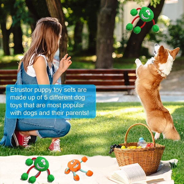 Interactive Dog Toys Carousel 1