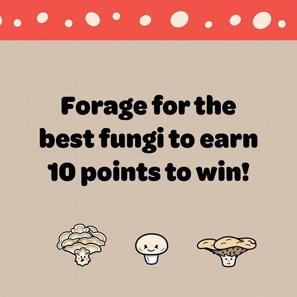 Funky Fungi (Card Game) Carousel 5