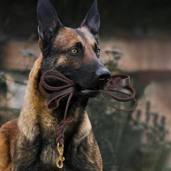 PETSWOL 150cm Leather Dog Leash - Brown Carousel 5