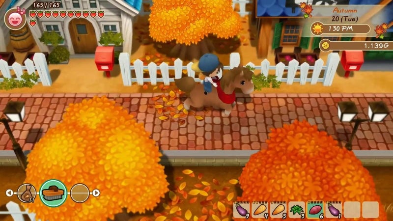 Story of Seasons: Friends of Mineral Town Carousel 5