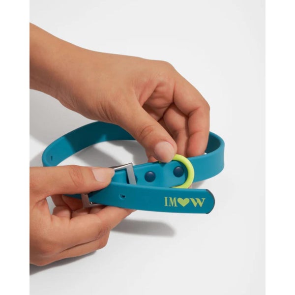 Wild One: Extra Large Collar - Teal / Navy / Limeade Carousel 2