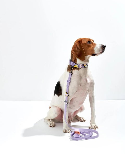 Wild One: Standard Flair Charms - Dream Bundle (5-Pack) Carousel 5