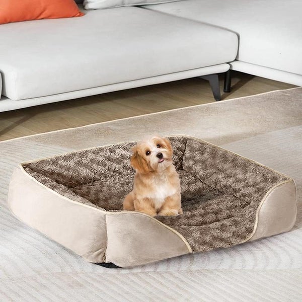 ZOOMIES Rectangle Washable Dog Bed - Beige Carousel 5